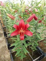 [5573 VH03 No01.JPG]